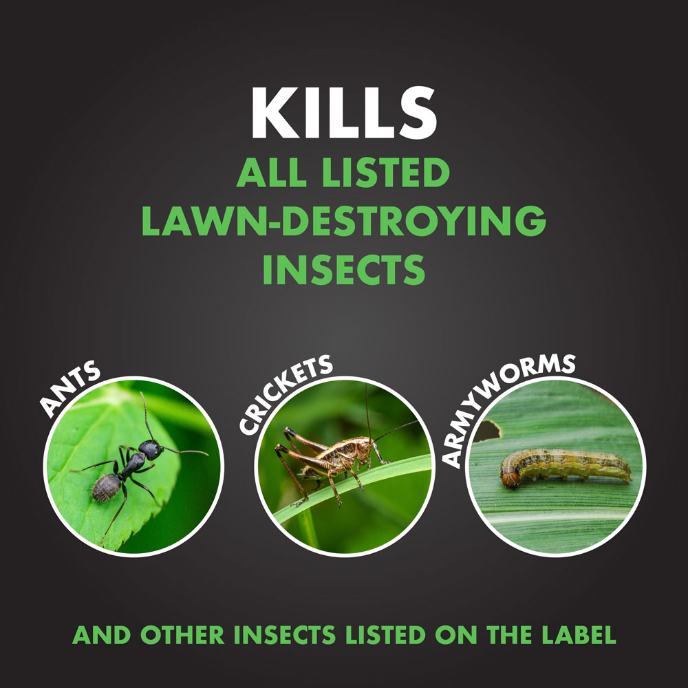 Triazicide Insect Killer For Lawns Granules 10 & 20 Pounds, Kills LawnDamaging Insects